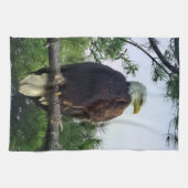 Mature Bald Eagle Pered in Tree Theedoek (Horizontaal)