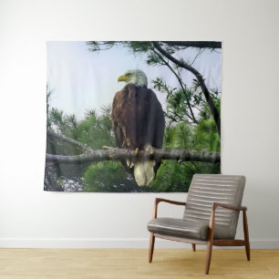 Mature Bald Eagle Pered in Tree Wandkleed