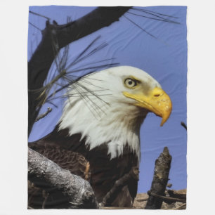 Mature Male Bald Eagle Close Up Head Shot Fleece Deken