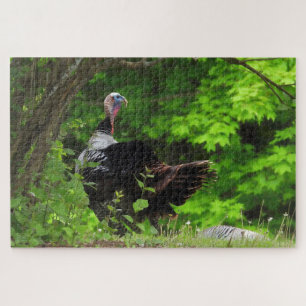 Mature Male Wild Turkije Legpuzzel