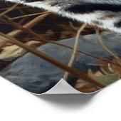 Mau égyptien Mat Art Imprimer Poster (Coin)