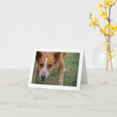 Maudie la carte de note de chien de vache (Fleur jaune)