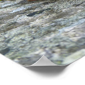 Mauerblümchen: lila Blüten bloeiend tussen stenen Poster (Hoek)