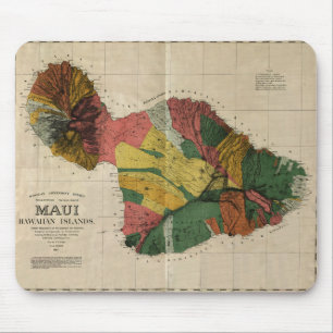 Maui - Antiquarian Hawaii Survey Map, 1885 Muismat