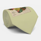 Maui - Antiquarian Hawaii Survey Map, 1885 Stropdas (Opgerold)