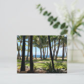 Maui Beach Hawaii Palm Trees Briefkaart (Staand voorkant)