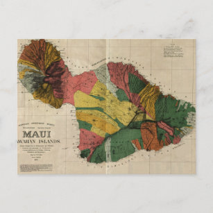 Maui - Carte Vintage de l'Antiquaire Hawaï, 1885