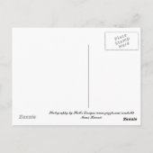 Maui, Hawaii Briefkaart (Achterkant)