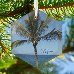 Maui Hawaii Eiland Fotografie Mooie Palmboom Glas Ornament