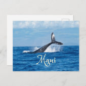 Maui Hawaii Ocean Whale Tail Briefkaart (Voorkant / Achterkant)