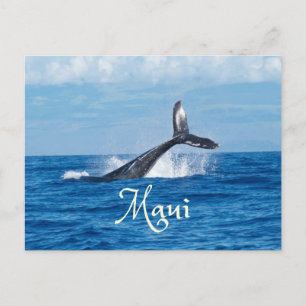 Maui Hawaii Ocean Whale Tail Briefkaart