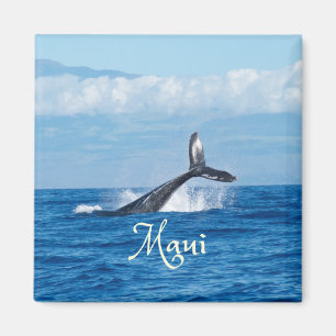 Maui Hawaii Ocean Whale Tail Magneet