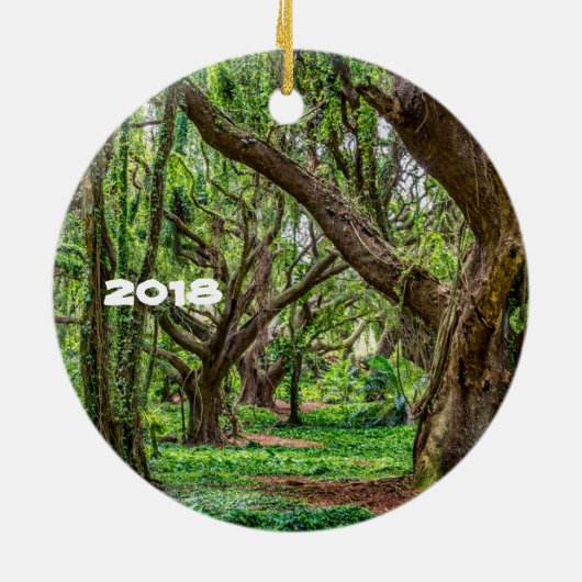 Maui Landschap Keramisch Ornament (Achterkant)