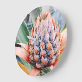 Maui Pineapple Hawaii  Grote Klok (Hoek)