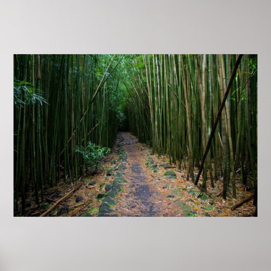 Maui Poster (Voorkant)