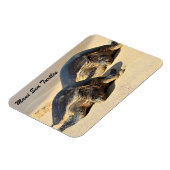 Maui Sea Turtles Magneet (Linkerzijde)