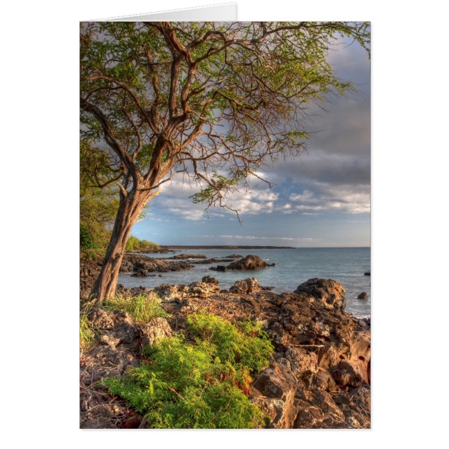 Maui shoreline (Voorkant)