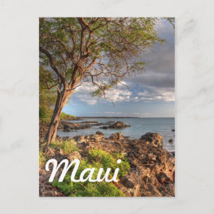 Maui shoreline briefkaart