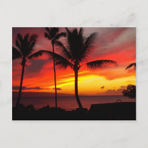 MAUI SUNSET 2 BRIEFKAART