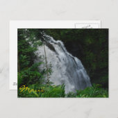 Maui Waterfall Briefkaart (Voorkant / Achterkant)