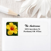 Maui Yellow Hibiscus Etiket (Insitu)