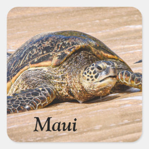 Maui Zee Schildpad op een strand sticker