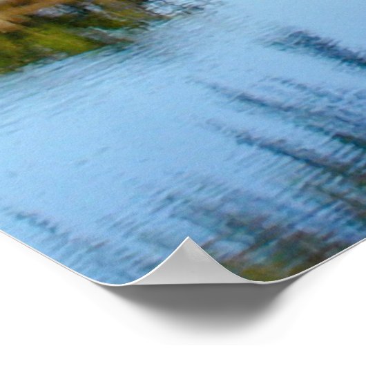 Mauna Kea avec affiche sur la neige (Coin)