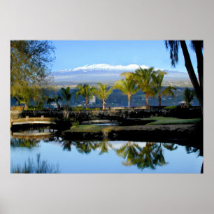 Mauna Kea met sneeuwPoster Poster