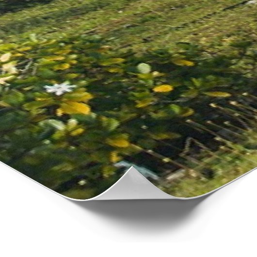 Maupti, Frans-Polynesische eiland, Foto afdruk Poster (Hoek)