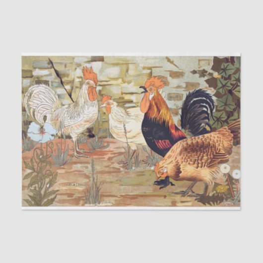 Maurice Pillard Verneuil | Koekjes en poules uit L Tissuepapier (Voorkant)
