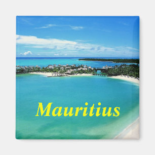Mauritiaanse magneet