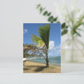 Mauritius Briefkaart (Staand voorkant)