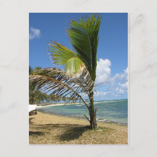 Mauritius Briefkaart (Voorkant)