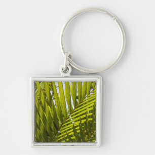 Mauritius, Centraal-Mauritius, Moka, palm 2 Sleutelhanger