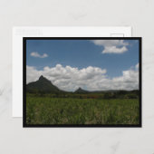 Mauritius / Maurice Briefkaart (Voorkant / Achterkant)