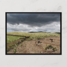 Mauritius / Maurice Briefkaart