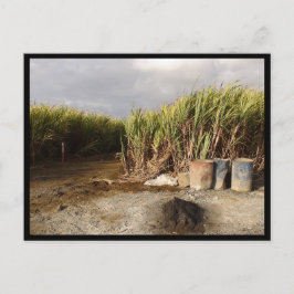 Mauritius / Maurice Briefkaart