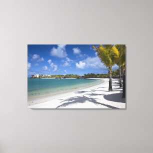 Mauritius, Oost-Mauritius, Trou d' Eau Douce, Canvas Afdruk