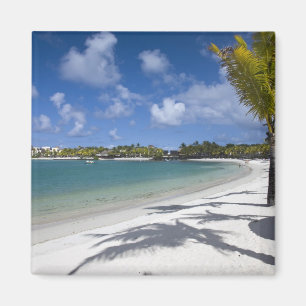 Mauritius, Oost-Mauritius, Trou d'Eau Douce, Magneet