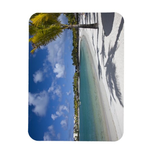 Mauritius, Oost-Mauritius, Trou d'Eau Douce, Magneet (Verticaal)