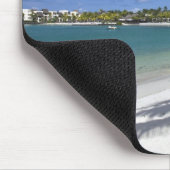 Mauritius, Oost-Mauritius, Trou d'Eau Douce, Muismat (Hoek)