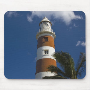 Mauritius, West-Mauritius, Belle Vue, Albion Muismat