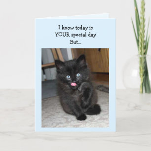 Mauser Kitten Bonne carte d'anniversaire