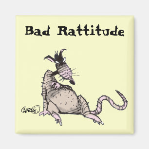Mauvais aimant de Rattitude