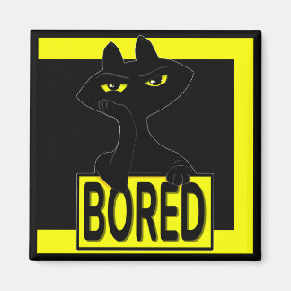 Mauvais Boogie Chat Noir Aimant Drôle Sarcastique