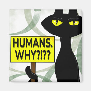 Mauvais Boogie Fanny Magnet - Humains. Pourquoi? p