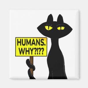Mauvais Boogie Fanny Magnet - Humains. Pourquoi? p