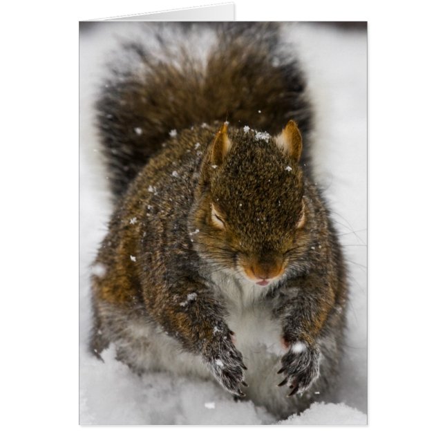 Mauvais goût (Devant)