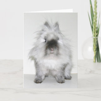 Mauvaise carte de lapin de jour de cheveux