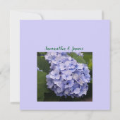 Mauve Chrysanthemum Faire-part de mariage (Dos)